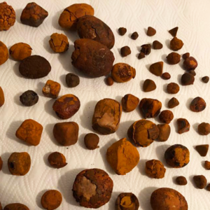 Ox Gallstones