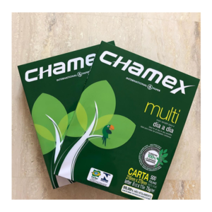 Chamex A4 Paper
