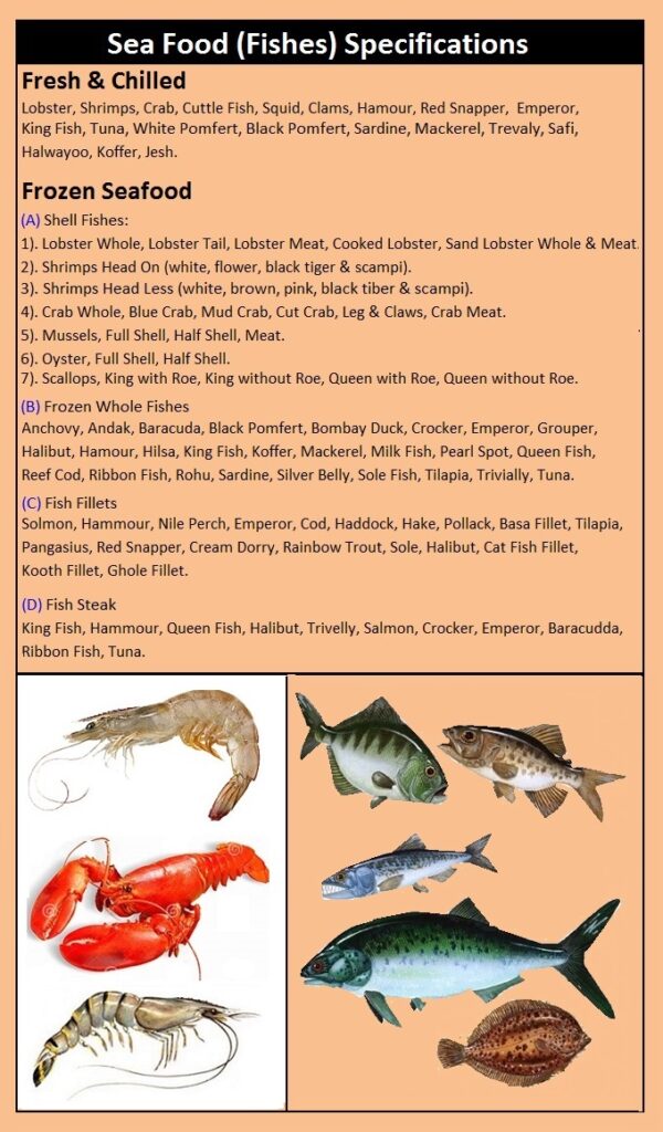 Fishes (Sea Food) Fresh and Frozen