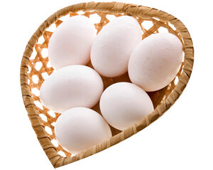 Chicken Eggs