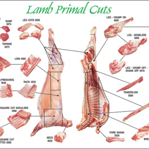Lamb Meat