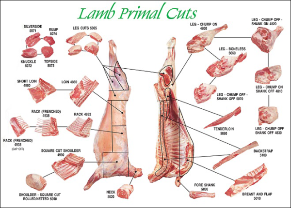 Lamb Meat