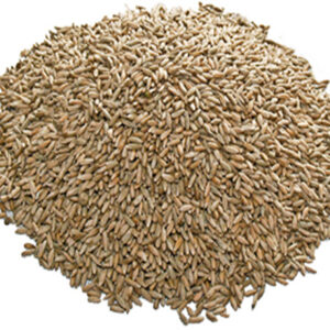 Rye