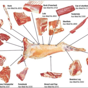 Sheep Meat